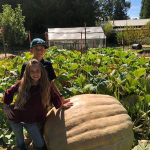 Meet your Posher, Amber